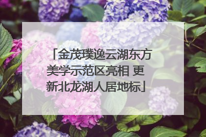 金茂璞逸云湖东方美学示范区亮相 更新北龙湖人居地标