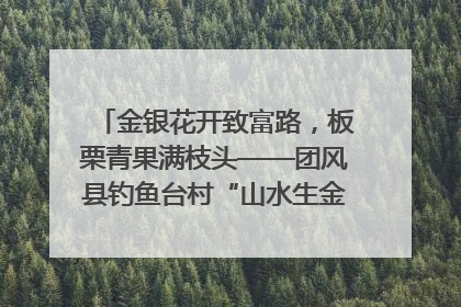 金银花开致富路，板栗青果满枝头——团风县钓鱼台村“山水生金”谱写共富新篇章
