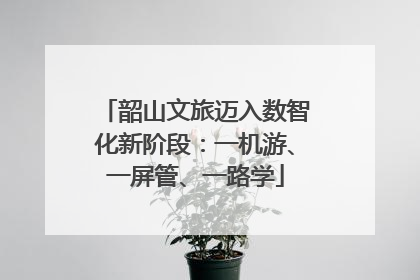 韶山文旅迈入数智化新阶段：一机游、一屏管、一路学