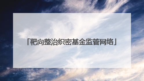 靶向整治织密基金监管网络