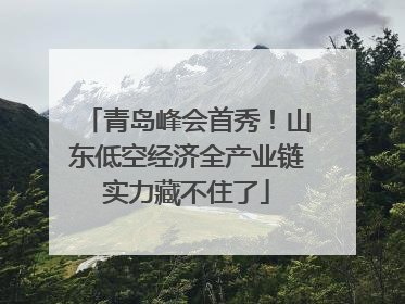 青岛峰会首秀！山东低空经济全产业链实力藏不住了