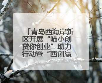 青岛西海岸新区开展“喵小创贷你创业”助力行动暨“西创赢——创业大咖说”主题活动