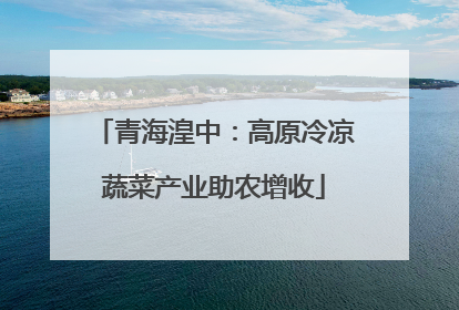 青海湟中：高原冷凉蔬菜产业助农增收