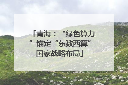 青海：“绿色算力”锚定“东数西算”国家战略布局