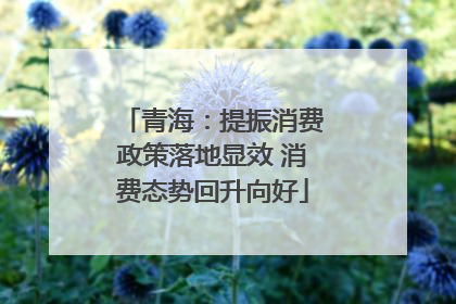青海：提振消费政策落地显效 消费态势回升向好