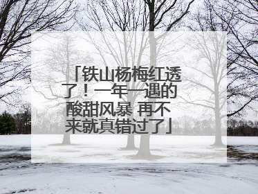 铁山杨梅红透了！一年一遇的酸甜风暴 再不来就真错过了