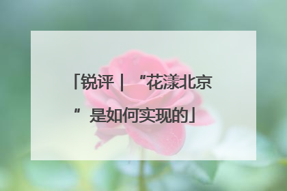 锐评｜“花漾北京”是如何实现的