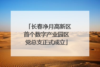 长春净月高新区首个数字产业园区党总支正式成立