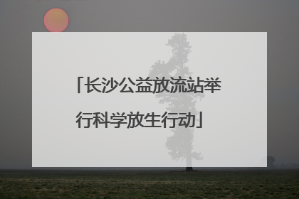 长沙公益放流站举行科学放生行动