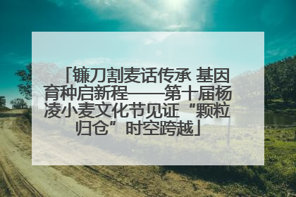 镰刀割麦话传承 基因育种启新程——第十届杨凌小麦文化节见证“颗粒归仓”时空跨越