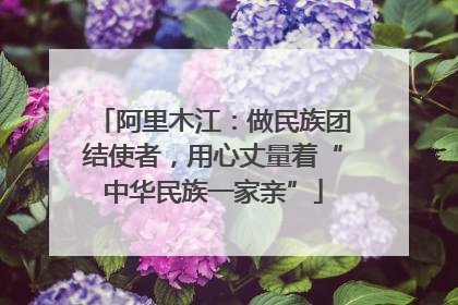 阿里木江：做民族团结使者，用心丈量着“中华民族一家亲”