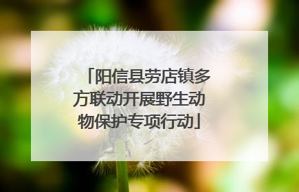 阳信县劳店镇多方联动开展野生动物保护专项行动