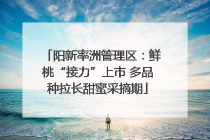 阳新率洲管理区：鲜桃“接力”上市 多品种拉长甜蜜采摘期