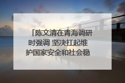 陈文清在青海调研时强调 坚决扛起维护国家安全和社会稳定职责使命 为谱写中国式现代化青海篇章贡献政法力量