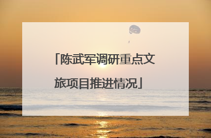 陈武军调研重点文旅项目推进情况