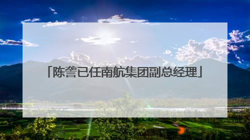陈詟已任南航集团副总经理