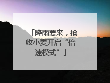 降雨要来，抢收小麦开启“倍速模式”