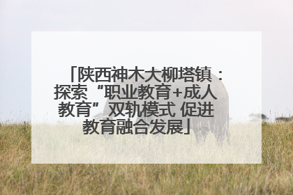陕西神木大柳塔镇：探索“职业教育+成人教育”双轨模式 促进教育融合发展
