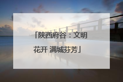 陕西府谷：文明花开 满城芬芳