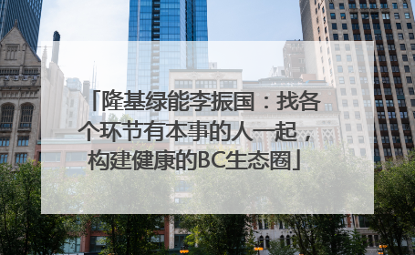 隆基绿能李振国：找各个环节有本事的人一起，构建健康的BC生态圈