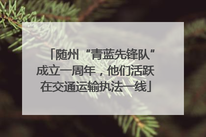 随州“青蓝先锋队”成立一周年，他们活跃在交通运输执法一线