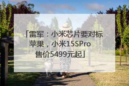 雷军：小米芯片要对标苹果，小米15SPro售价5499元起