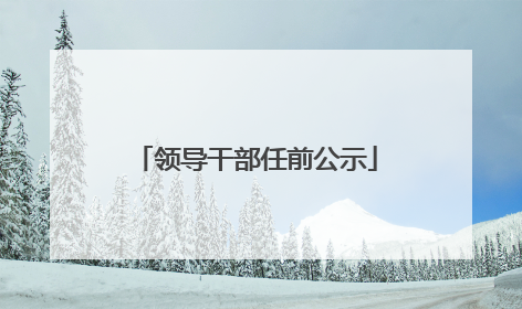 领导干部任前公示