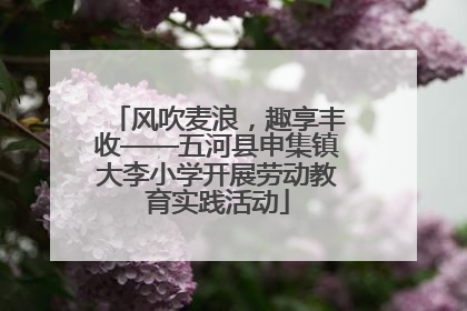 风吹麦浪，趣享丰收——五河县申集镇大李小学开展劳动教育实践活动