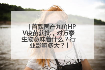 首款国产九价HPV疫苗获批，对万泰生物意味着什么？行业影响多大？