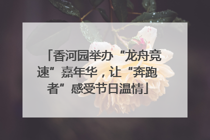 香河园举办“龙舟竞速”嘉年华，让“奔跑者”感受节日温情