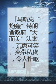 马斯克“炮轰”特朗普政府“大而美”法案：荒唐可笑、夹带私货，令人作呕