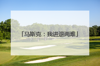 马斯克：我进退两难