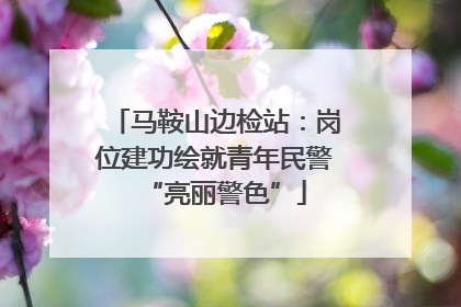 马鞍山边检站：岗位建功绘就青年民警“亮丽警色”