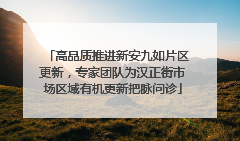 高品质推进新安九如片区更新，专家团队为汉正街市场区域有机更新把脉问诊