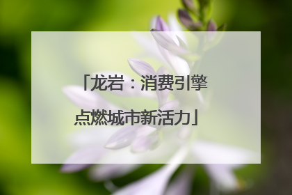 龙岩：消费引擎点燃城市新活力