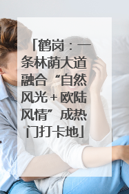 鹤岗：一条林荫大道融合“自然风光＋欧陆风情”成热门打卡地