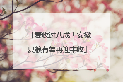 麦收过八成！安徽夏粮有望再迎丰收
