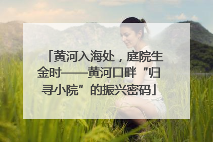 黄河入海处，庭院生金时——黄河口畔“归寻小院”的振兴密码