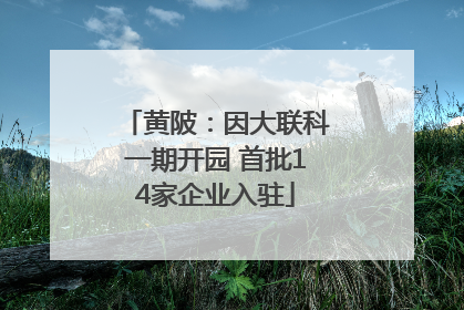 黄陂：因大联科一期开园 首批14家企业入驻