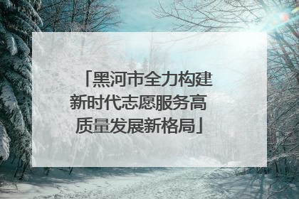 黑河市全力构建新时代志愿服务高质量发展新格局
