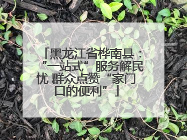 黑龙江省桦南县：“一站式”服务解民忧 群众点赞“家门口的便利”