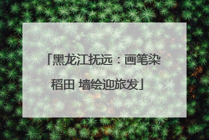 黑龙江抚远：画笔染稻田 墙绘迎旅发