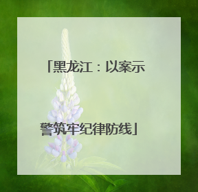 黑龙江：以案示警筑牢纪律防线