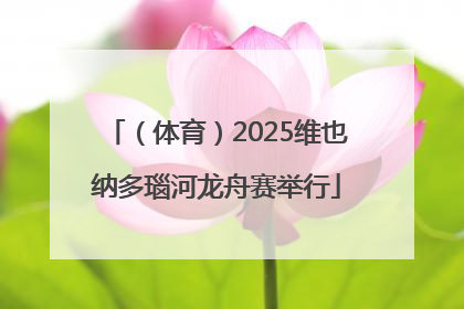 （体育）2025维也纳多瑙河龙舟赛举行