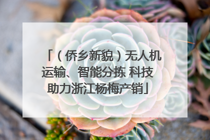 （侨乡新貌）无人机运输、智能分拣 科技助力浙江杨梅产销
