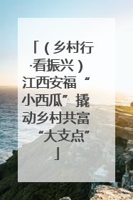 （乡村行·看振兴）江西安福“小西瓜”撬动乡村共富“大支点”