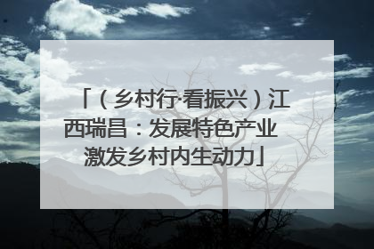 （乡村行·看振兴）江西瑞昌：发展特色产业 激发乡村内生动力
