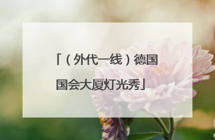 （外代一线）德国国会大厦灯光秀