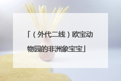 （外代二线）欧宝动物园的非洲象宝宝