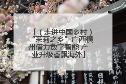 （走进中国乡村）“茉莉之乡”广西横州借力数字智能 产业升级香飘海外